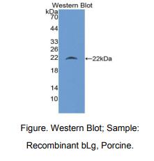 https://msimg.bioon.com/bionline/goods-no-pic.png