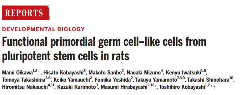 Science：日本科学家用干细胞诱导出生殖细胞，并产生健康可育后代(图1)