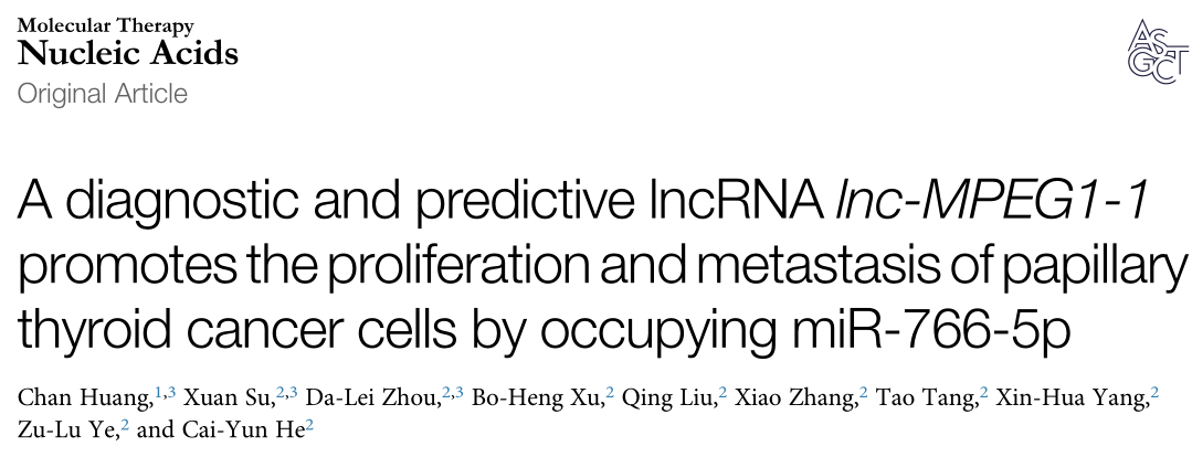 lncRNA lnc-mpeg1-1促进甲状腺癌细胞的增殖和转移