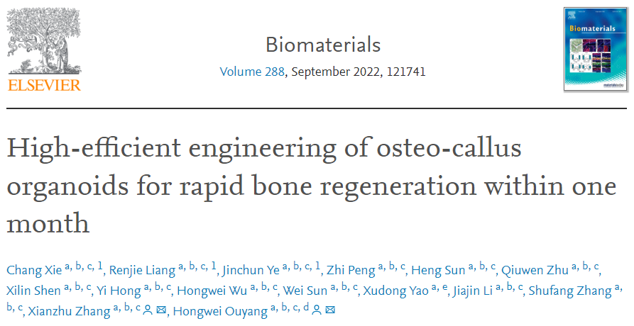 浙江大学欧阳宏伟团队在体外构建“骨痂”类器官，促进超速骨再生