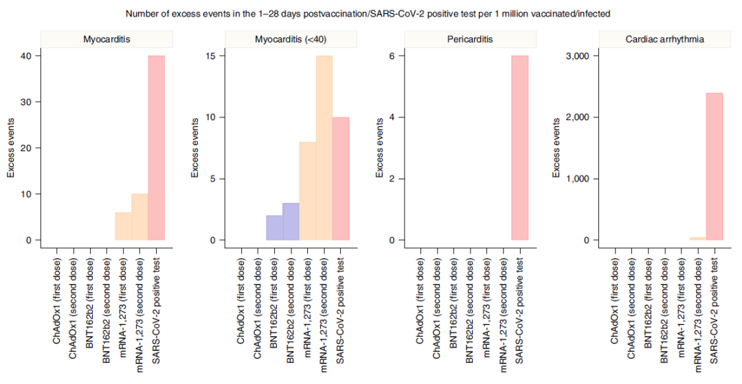 Nature子刊：与疫苗接种或<a href=//www.styjt.com/ target=_blank class=infotextkey>新冠</a>感染相关的心肌炎风险