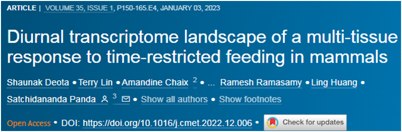 Cell Metab：限时进食可使哺乳动物多种系统的生物钟同步化
