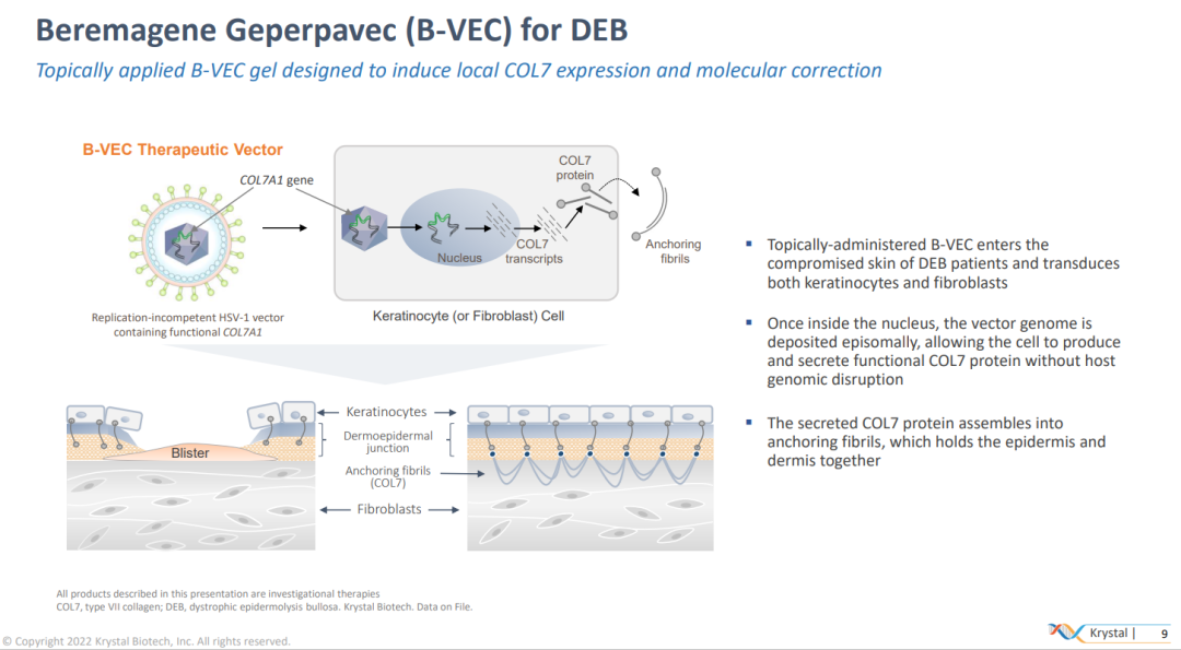 因生产问题，FDA推迟批准外用基因疗法B-VEC