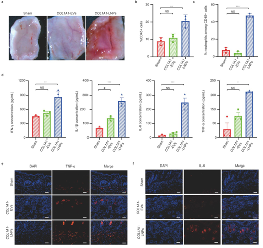 Nature子刊：细胞外囊泡装载mRNA的蛋白质替代疗法：一种全新mRNA递送方法为其他基因疗法打开