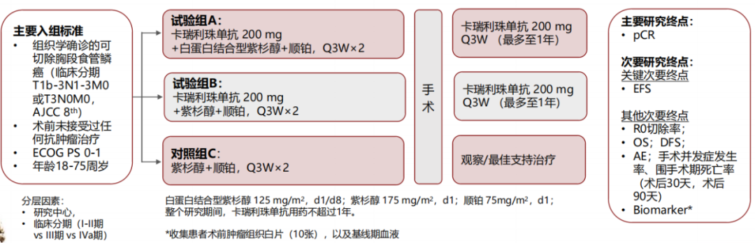 我国自主研发免疫治疗药物卡瑞利珠单抗，实现食管癌治疗全面覆盖，谱写食管癌治疗新篇章