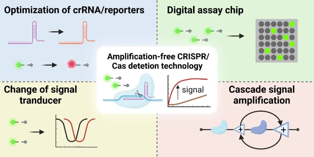 上海交大殷堃团队综述：基于CRISPR-Cas系统的无扩增检测技术