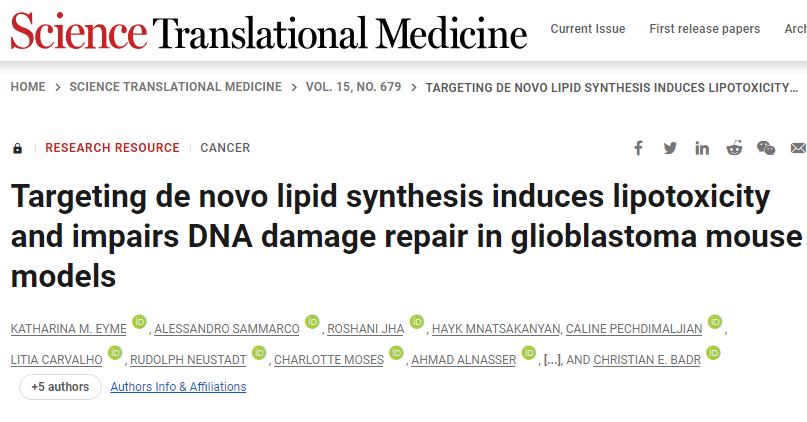 Sci Transl Med：一种新药或有望通过靶向作用癌细胞的脂质代谢来抵御胶质母细胞瘤