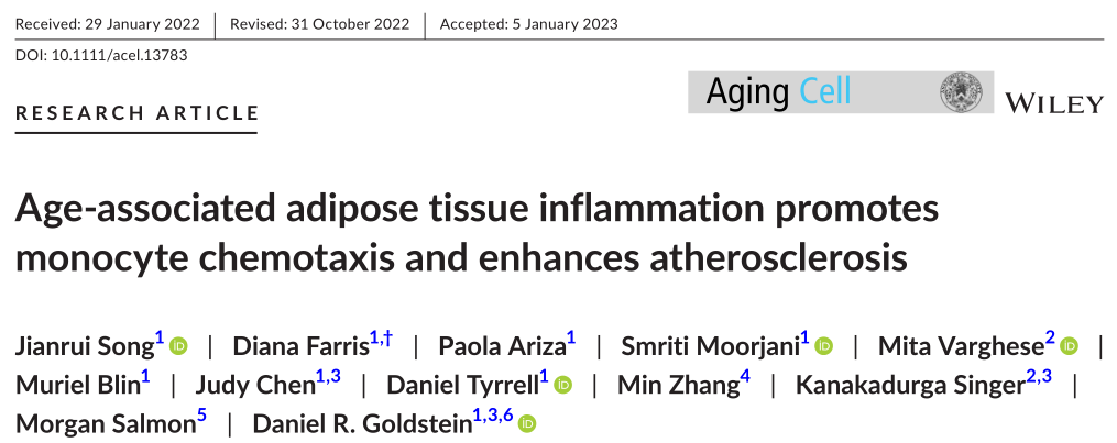 Aging Cell: 年龄相关性脂肪组织炎症增强动脉粥样硬化