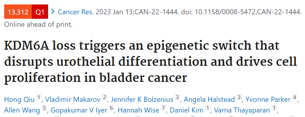 Cancer Res: KDM6A缺失触发表观遗传开关扰乱膀胱癌增殖