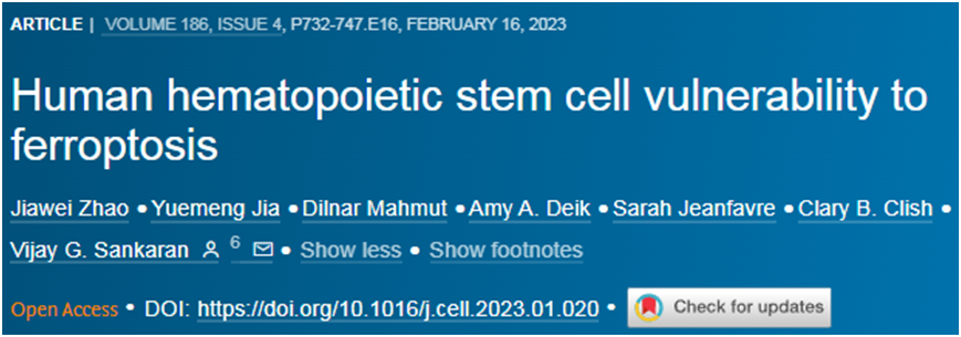 Cell：震惊！发现人类造血干细胞极易发生铁死亡