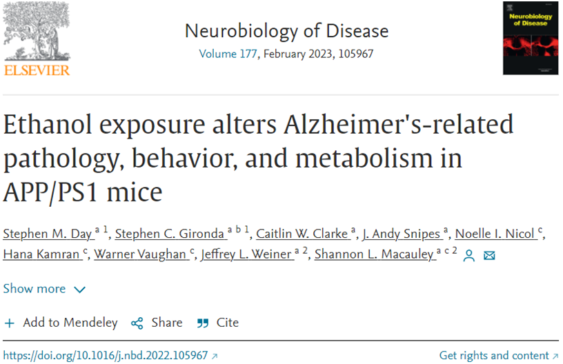 Neurobiol Dis：揭示酒精摄入与与阿尔茨海默病的加速产生有关