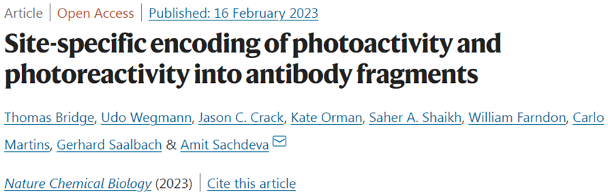 Nat Chem Biol：在开发新一代的光激活癌症疗法方面取得新突破