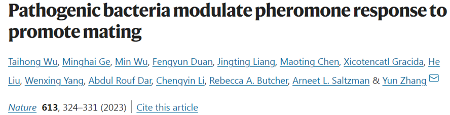 Nature：致病菌通过调节线虫的信息素反应来促进线虫彼此间交配