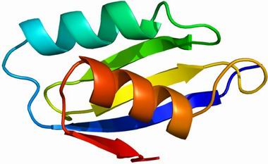 (prion disease),如牛海綿狀腦病(bovine spongiform encephalopathy