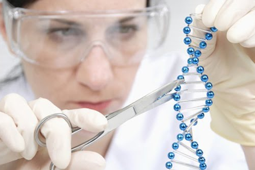 Nature biotechnology：应用慢病毒载体检测CRISPR-CAS9和TALEN脱靶