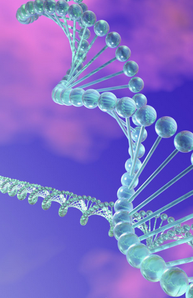 Nat Commun：新技术发现睾丸癌耐药相关基因