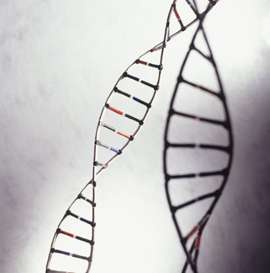 喜讯！基因突变筛查工具问世，将揭开遗传疾病神秘面纱！