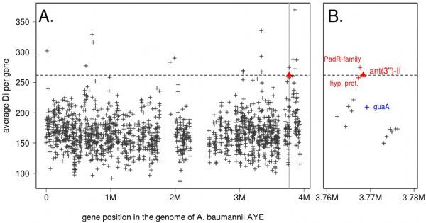 图2 不动杆菌中基因的重组热点分析