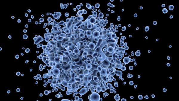 《细胞》：效果喜人！多国科学家首次证明，溶瘤病毒联合 PD- 1 抑制剂免疫治疗可以大幅提升癌症响应率