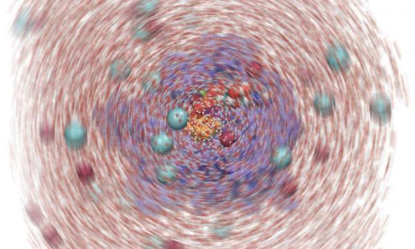 plos02comput02biol顛覆傳統同一位點的突變竟然會產生不同的影響